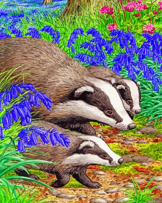Badgers Animals Painting By Numberss.png