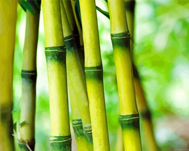 Bamboo Poles Painting By Numberss.png