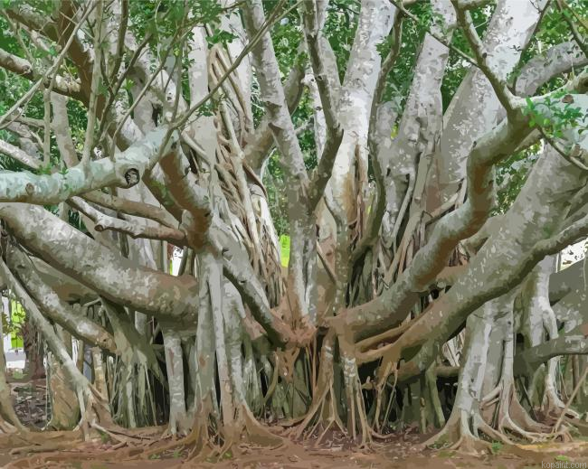 Banyan Tree Landscape Painting By Numberss.png