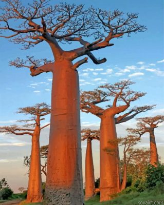Baobab Trees Painting By Numberss.png