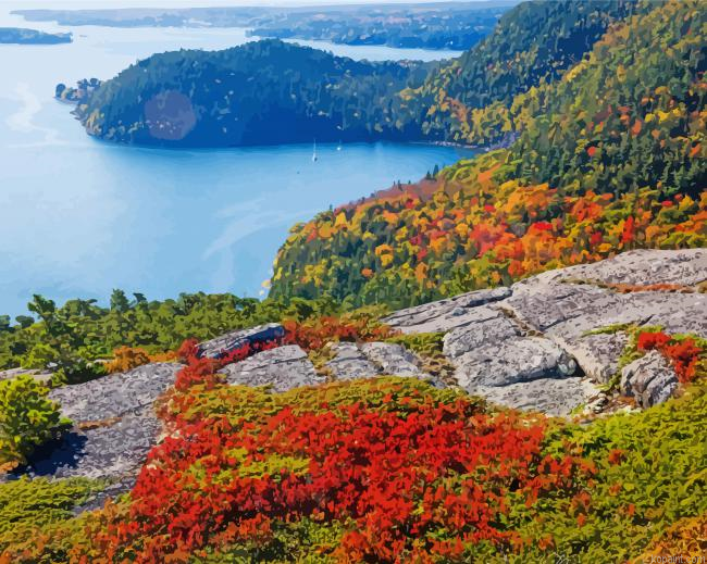 Bar Harbor Acadia National Park Painting By Numberss.png