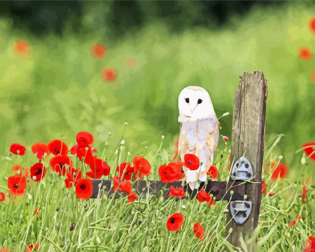 Barn Owl And Poppies Painting By Numberss.png