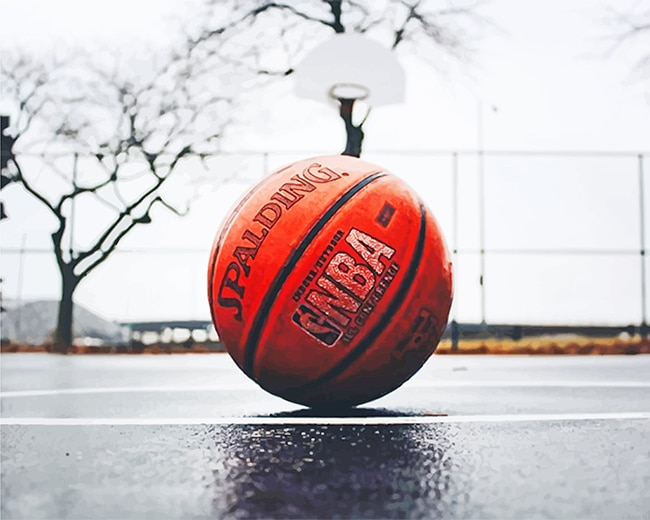 Basket Ball New Painting By Numberss.png