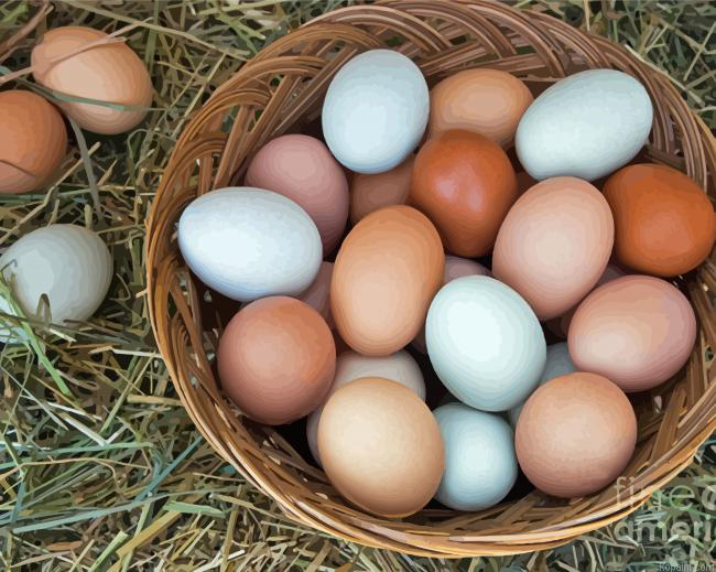 Basket Of Chicken Eggs Painting By Numberss.png