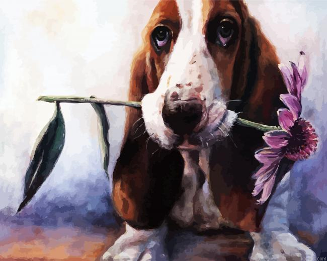 Basset Hound And Flower Painting By Numberss.png
