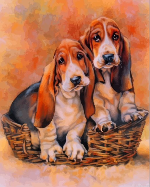 Basset Hound Dogs Painting By Numberss.png