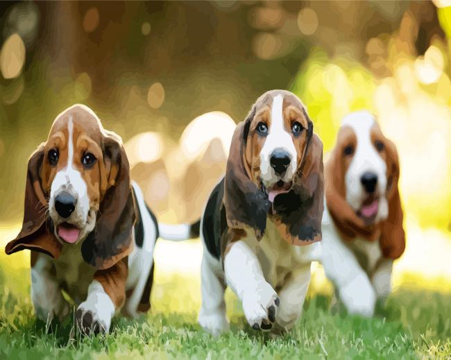 Basset Hound Puppies Dogs Painting By Numberss.png