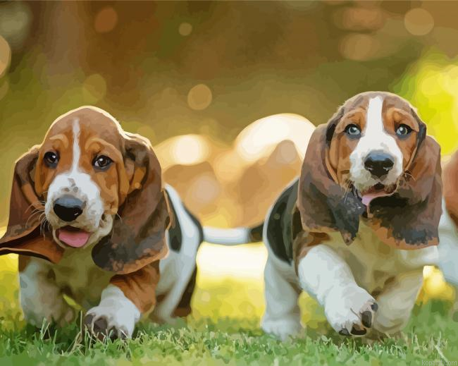 Basset Hounds Puppies Painting By Numberss.png