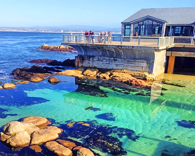 Bay Aquarium Monterey New Painting By Numberss.png