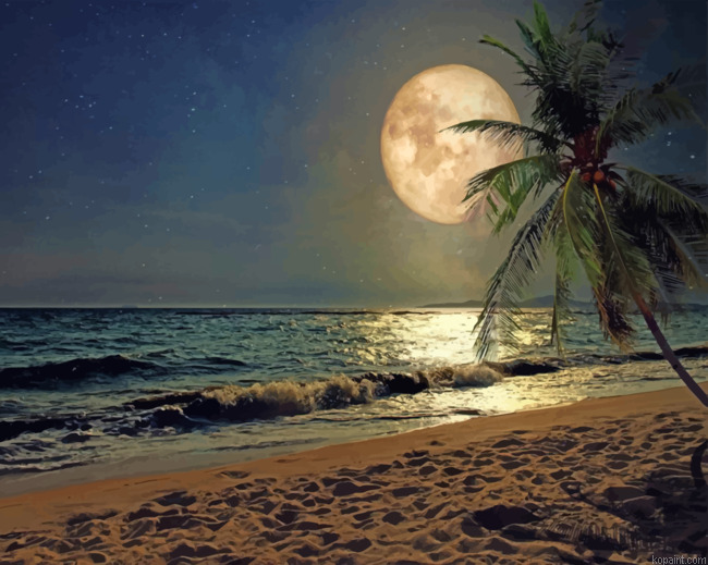 Beach Moonlight Painting By Numberss.png