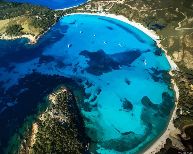 Beach Rondinara Corsica Painting By Numberss.png