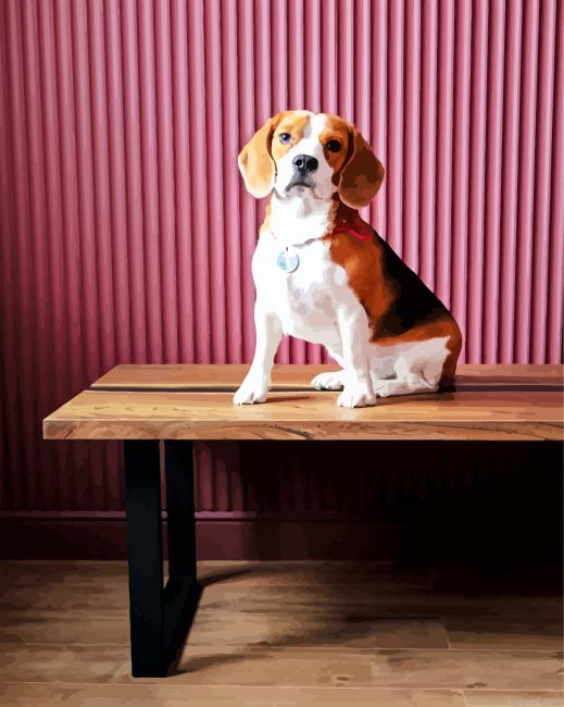 Beagle Dog On The Table Paint By Numbers.png