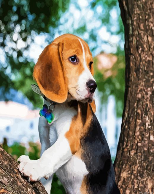 Beagle Dog Pet Paint By Numbers.png