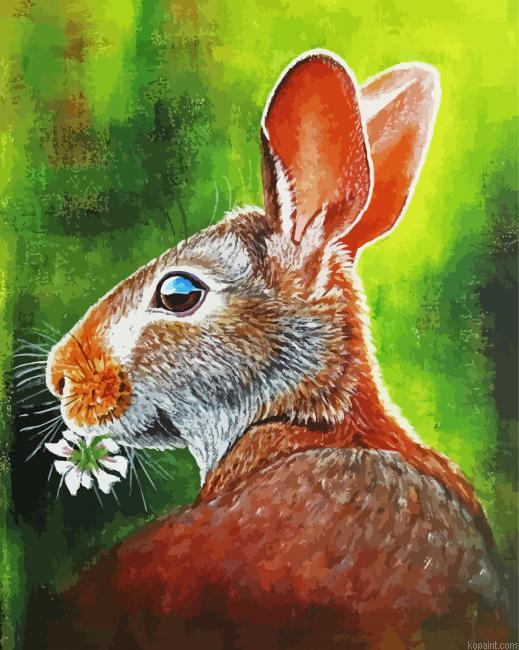 Beautiful Abstract Rabbit Painting By Numberss.png