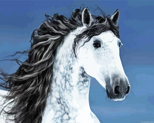 Beautiful Andalusian Horse Painting By Numberss.png