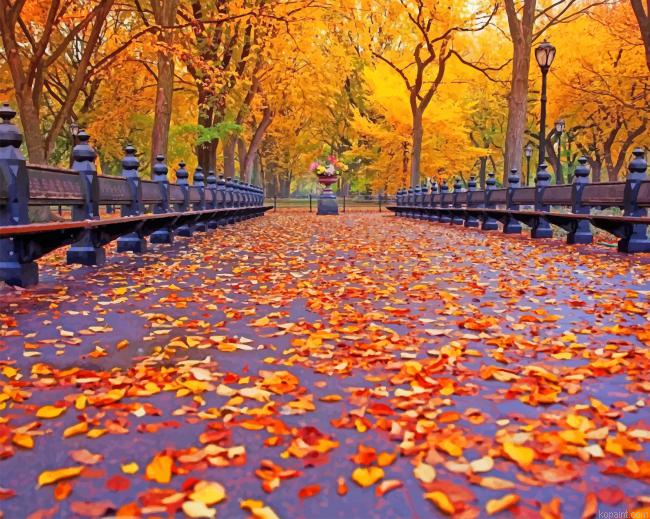 Beautiful Autumn Leaves New Painting By Numberss.png
