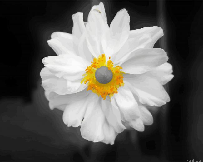 Beautiful Black And White Flower Painting By Numberss.png