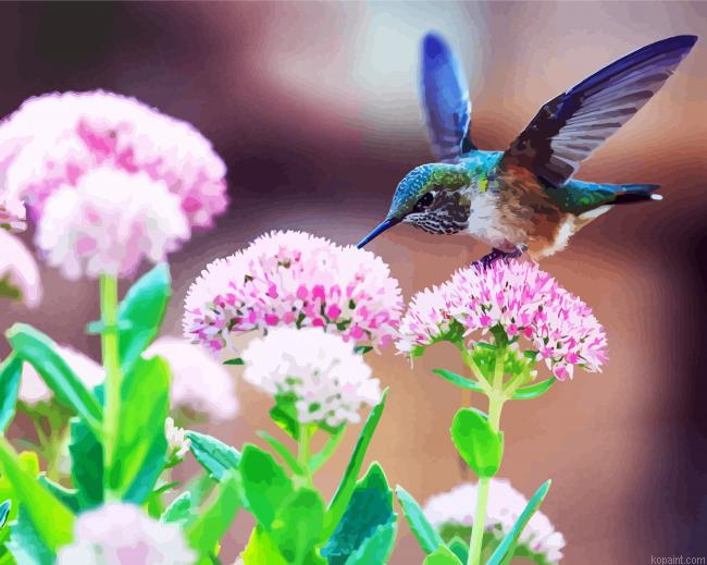 Beautiful Blue Hummingbird Painting By Numberss.png