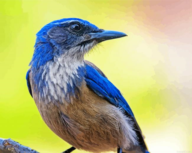 Beautiful Blue Jays Painting By Numberss.png