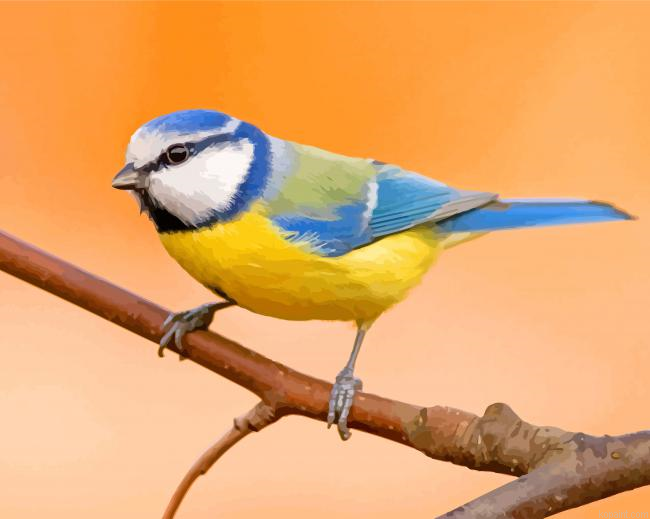 Beautiful Blue Tit Bird Painting By Numberss.png