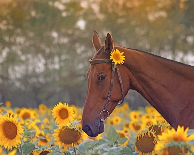 Beautiful Brown Horse New Painting By Numberss.png