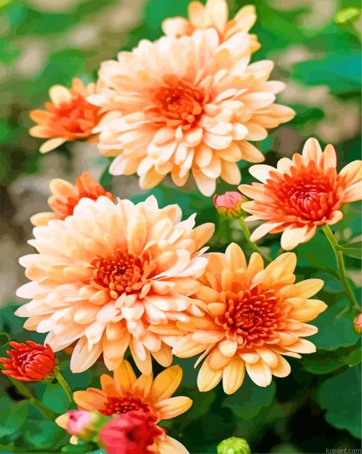 Beautiful Chrysanthemum Painting By Numberss.png