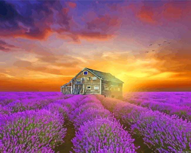 Beautiful Cottage And Lavender Painting By Numberss.png