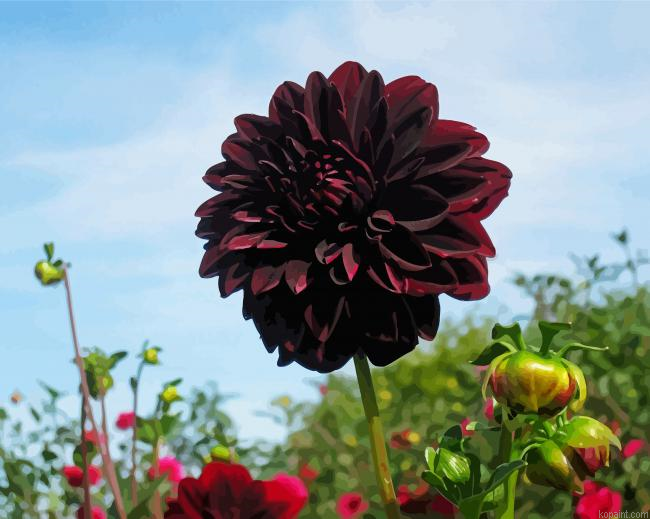 Beautiful Dark Dahlia Red Flower Painting By Numberss.png