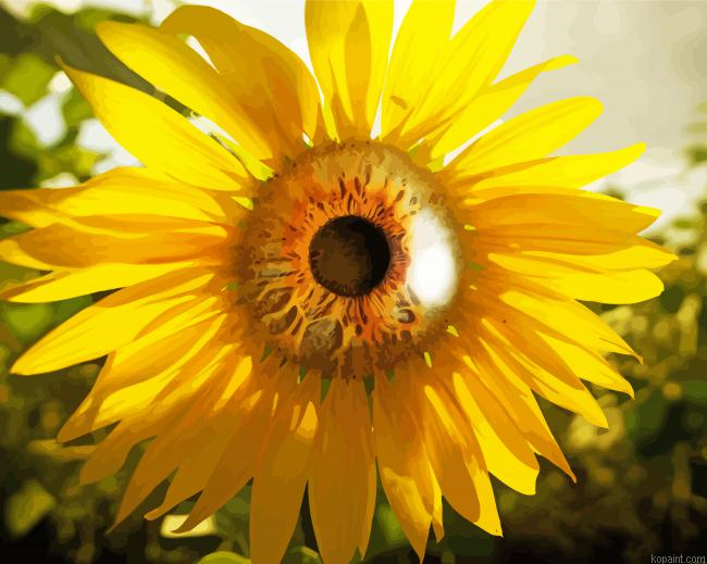 Beautiful Eye Flower Painting By Numberss.png