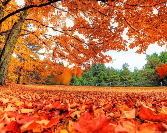 Beautiful Fall Leaves New Painting By Numberss.png