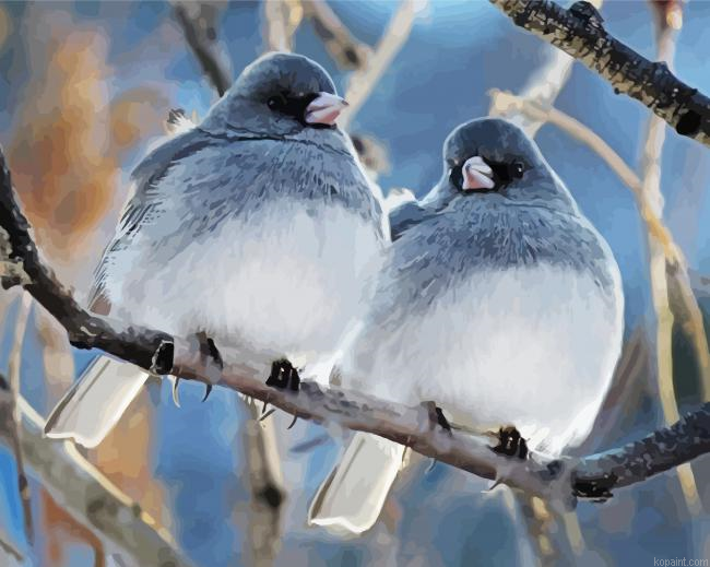 Beautiful Fat Birds Painting By Numberss.png