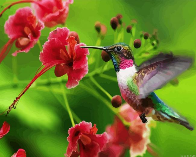 Beautiful Hummingbird Painting By Numberss.png