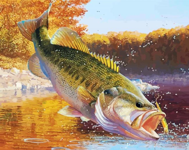 Beautiful Largemouth Bass Painting By Numberss.png