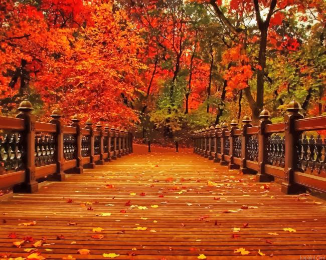Beautiful Nature Fall New Painting By Numberss.png