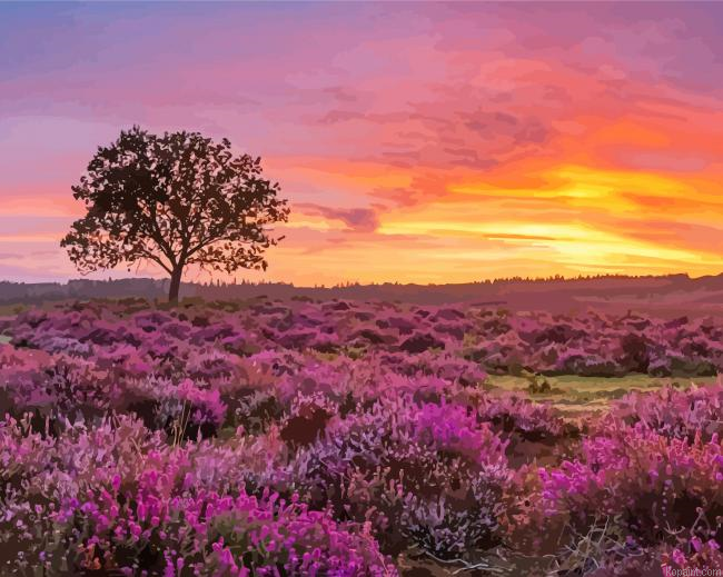 Beautiful New Forest National Park Painting By Numberss.png