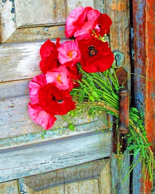 Beautiful Old Door And Flowers Paint By Numbers