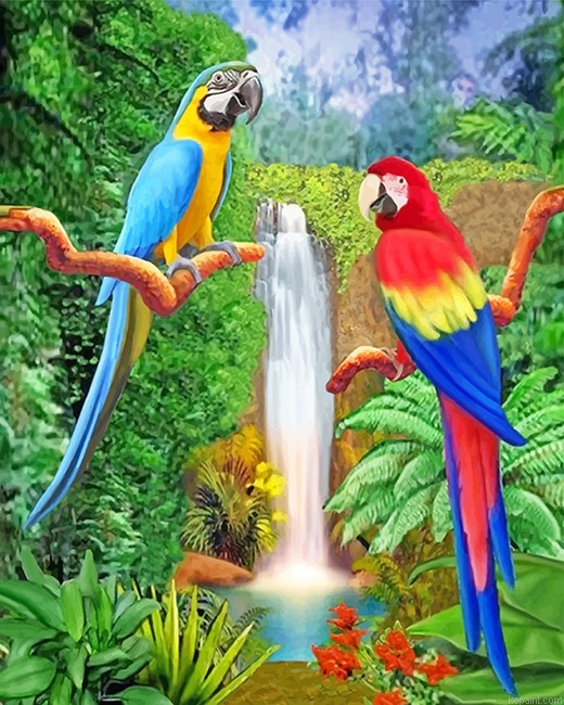Beautiful Parrots New Painting By Numberss.png