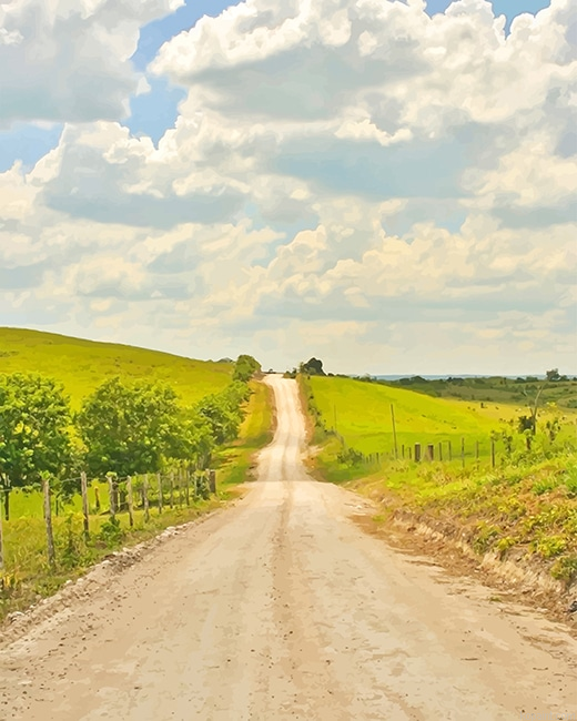 Beautiful Road New Painting By Numberss.png