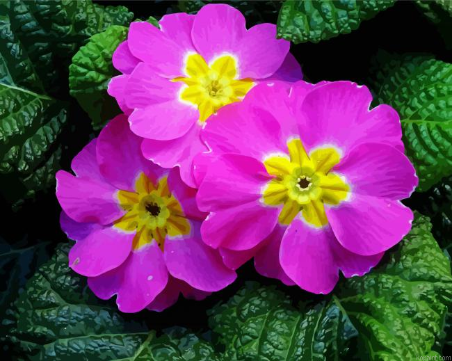 Beautiful Small Flowers Painting By Numberss.png