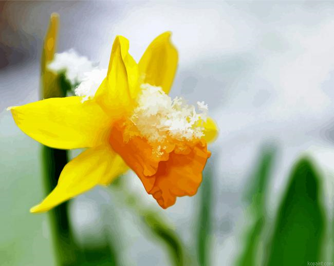 Beautiful Spring Flower In Snow Painting By Numberss.png
