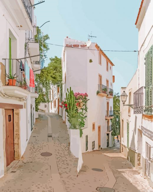 Beautiful Streets In Ibiza Painting By Numberss.png