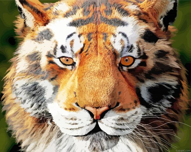 Beautiful Tiger Head Painting By Numberss.png