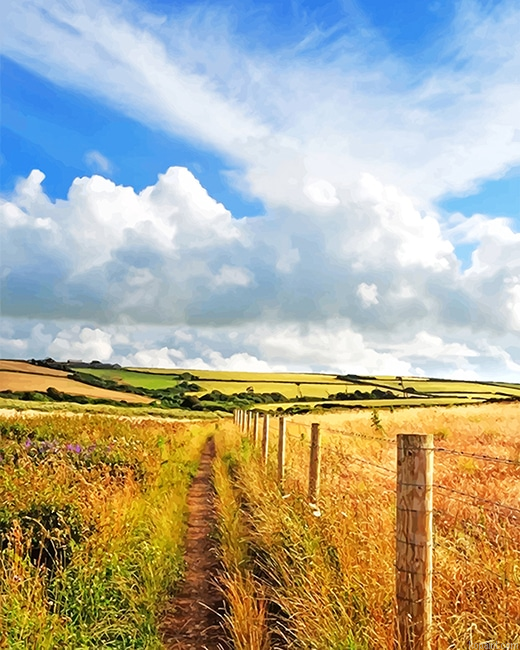 Beautiful View Nature New Painting By Numberss.png
