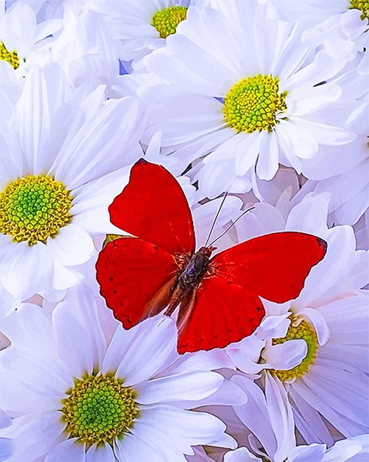 Beautiful White Flowers Red Butterfly New Painting By Numberss.png
