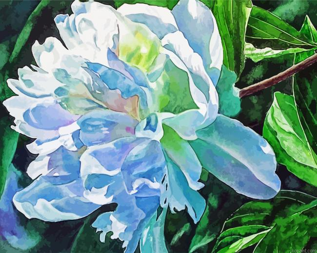 Beautiful White Peony Painting By Numberss.png