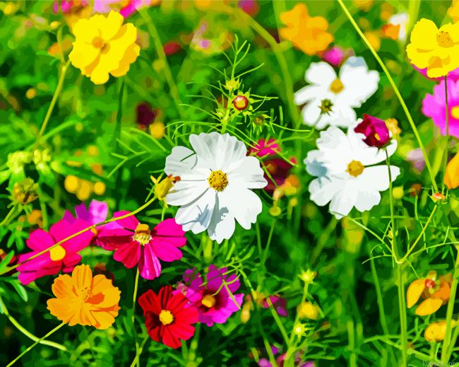 Beautiful Wild Flower Meadow Painting By Numberss.png