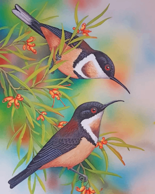 Bee Hummingbirds Painting By Numberss.png