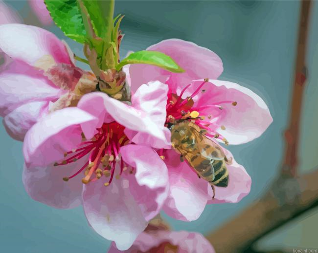 Bee On Blooming Peaches Painting By Numberss.png
