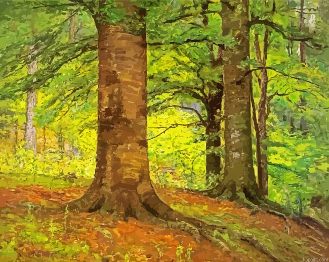 Beech Trees Art Painting By Numberss.png