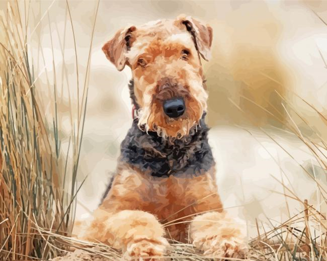 Beige Airedale Terrier Painting By Numberss.png